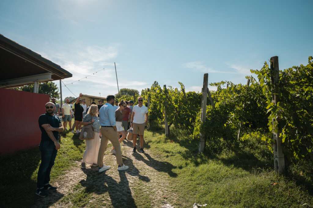 En grupp människor vid ett fält av vinrankor i Italien