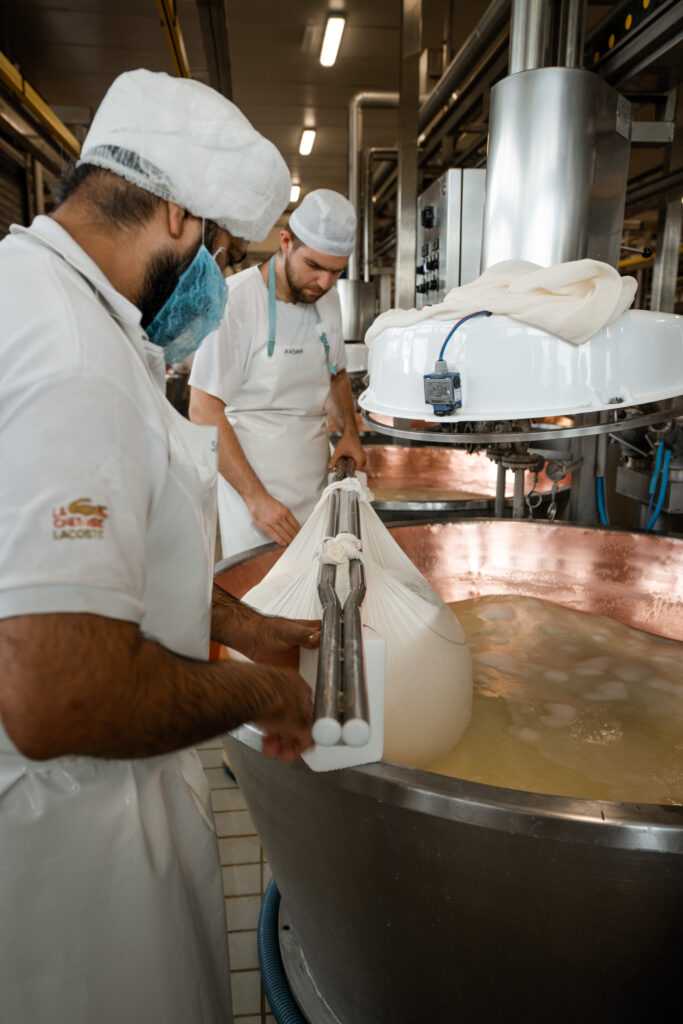 Tillverkning av ost på fabriken Parma2064